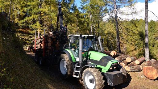 Lariceto pascolato di Ronco Loda – Predasca (Val di Campo)