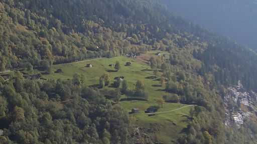 Decespugliamento del pascolo di Cauco