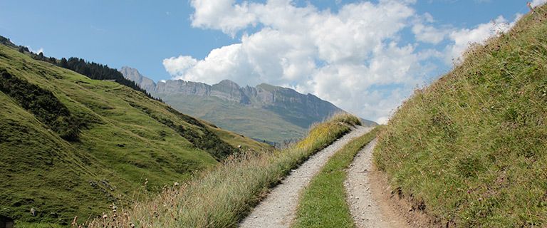 Tourismuszukunft Rheinwald