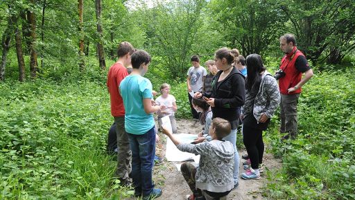 Lotta alle neofite invasive