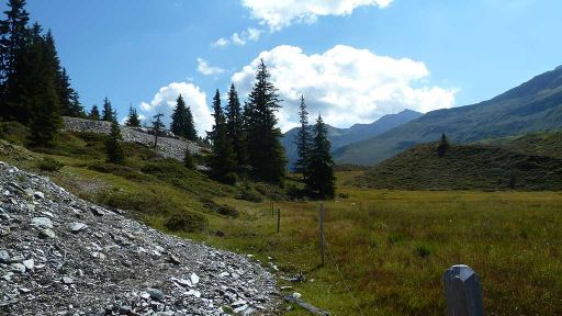 Naturwaldreservat Alp Nadéls