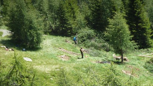 Decespugliamento  dell’Alpe di Prou