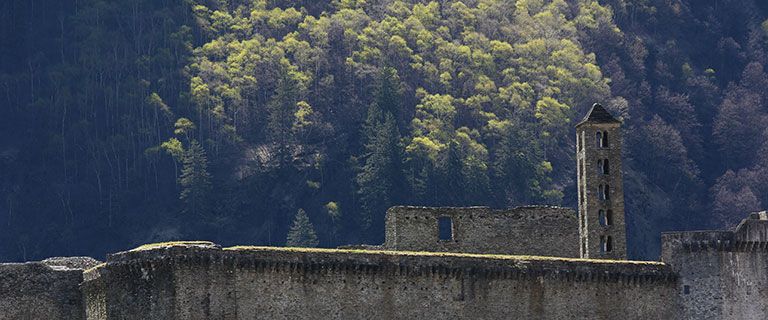 Tra castello e castagni – Sentiero Cultura e Natura Mesocco/Soazza