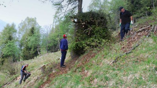 Decespugliamento del pascolo di Cauco