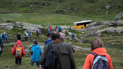 Beschilderung der Kurven am San Bernardino Pass