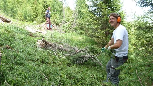 Decespugliamento  dell’Alpe di Prou