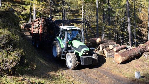 Lariceto pascolato di Ronco Loda – Predasca (Val di Campo)